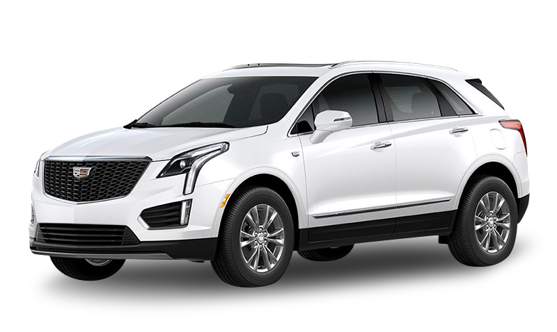 크리스탈 화이트 트리코트 익스테리어